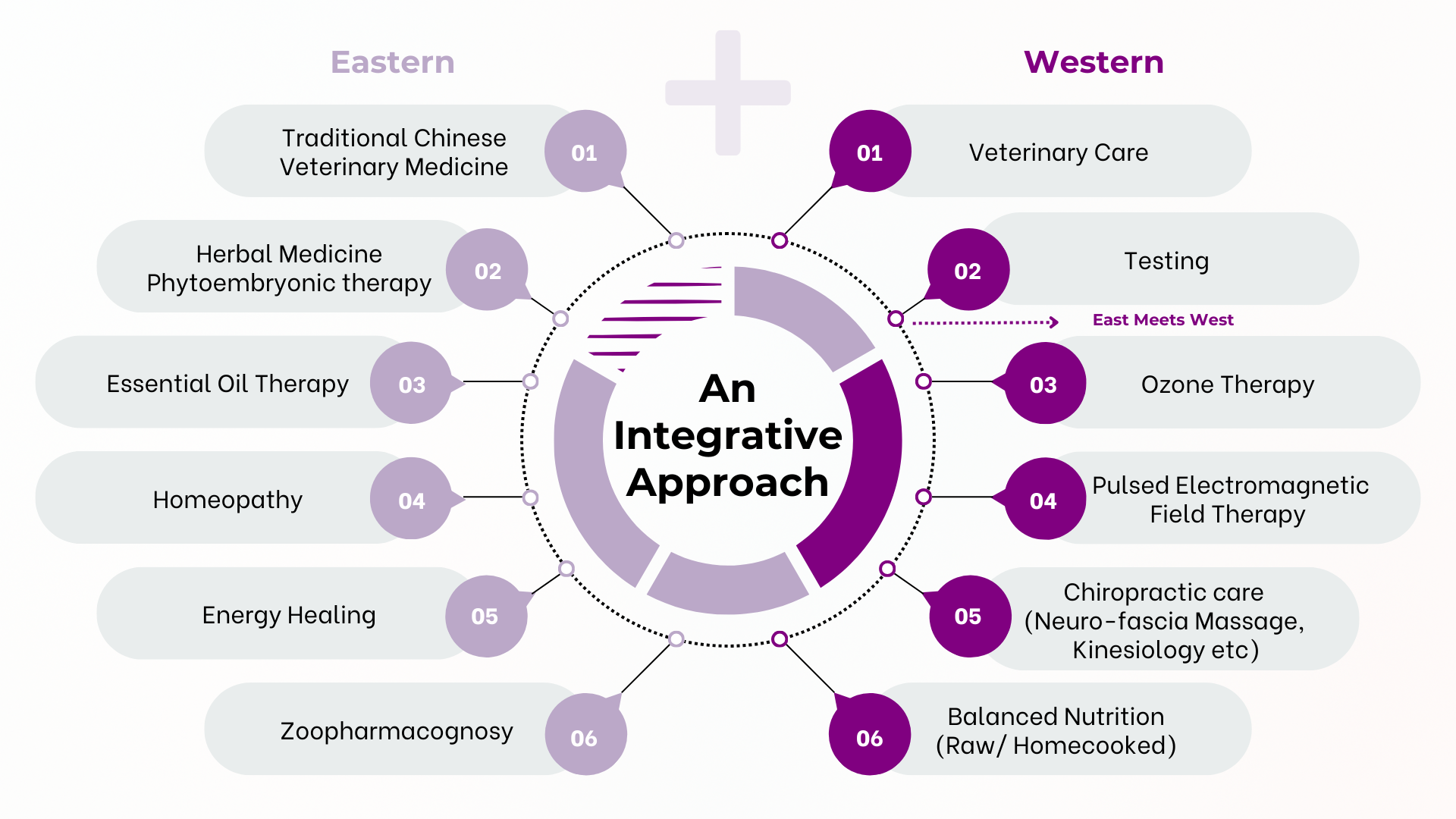 Integrative healing modalities for dogs combining Eastern wisdom and Western science